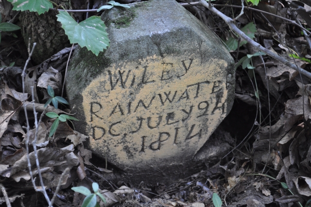 Wiley Rainwater